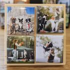 Fotómágnes tartó - 4 db-os